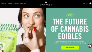 CBD SEO services USA