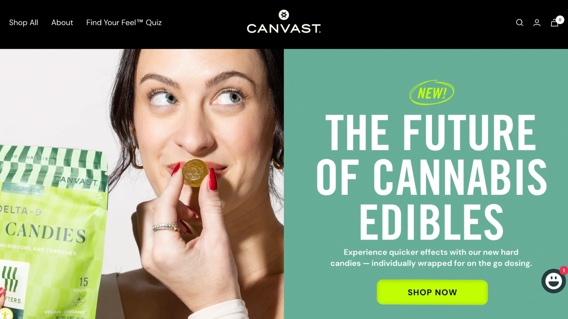 CBD SEO services USA